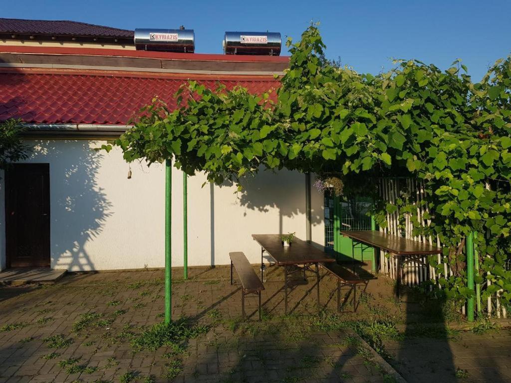 Vila Orizont فينوس المظهر الخارجي الصورة