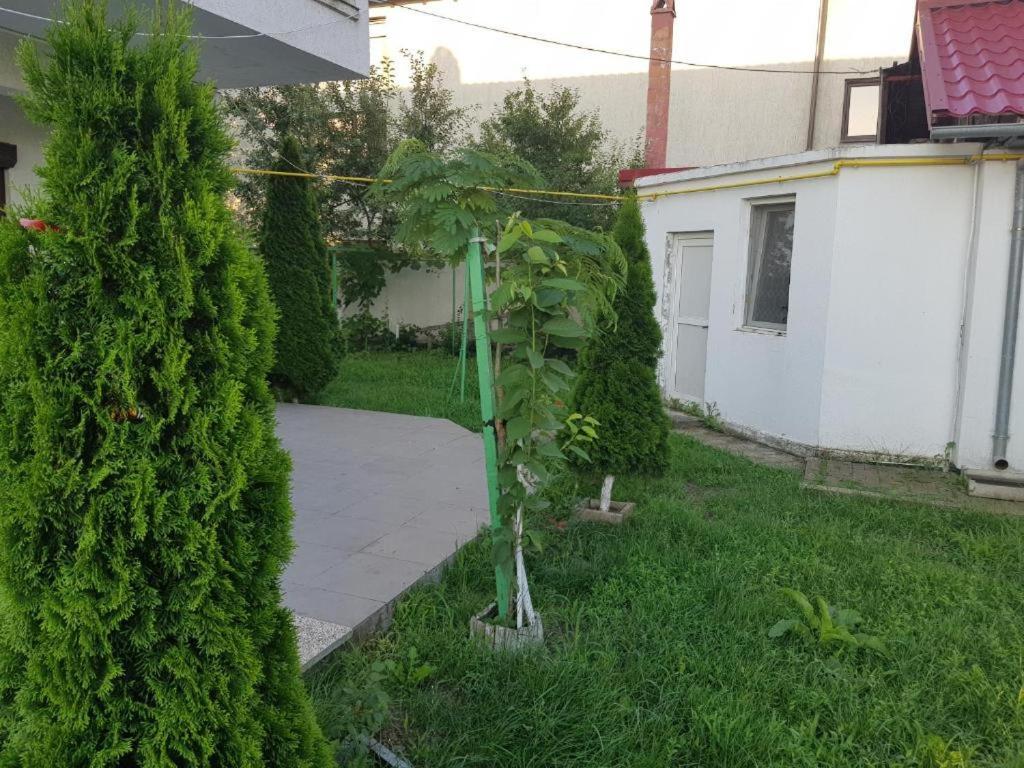 Vila Orizont فينوس المظهر الخارجي الصورة